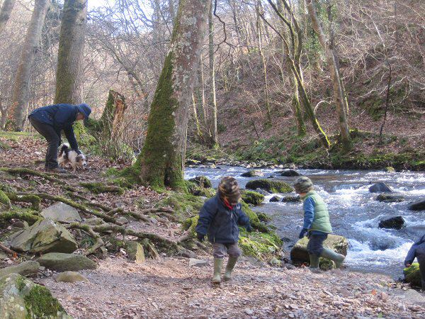 Horner Water in the woods