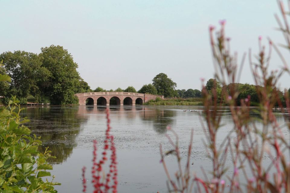 Lake and bridge in the parkland