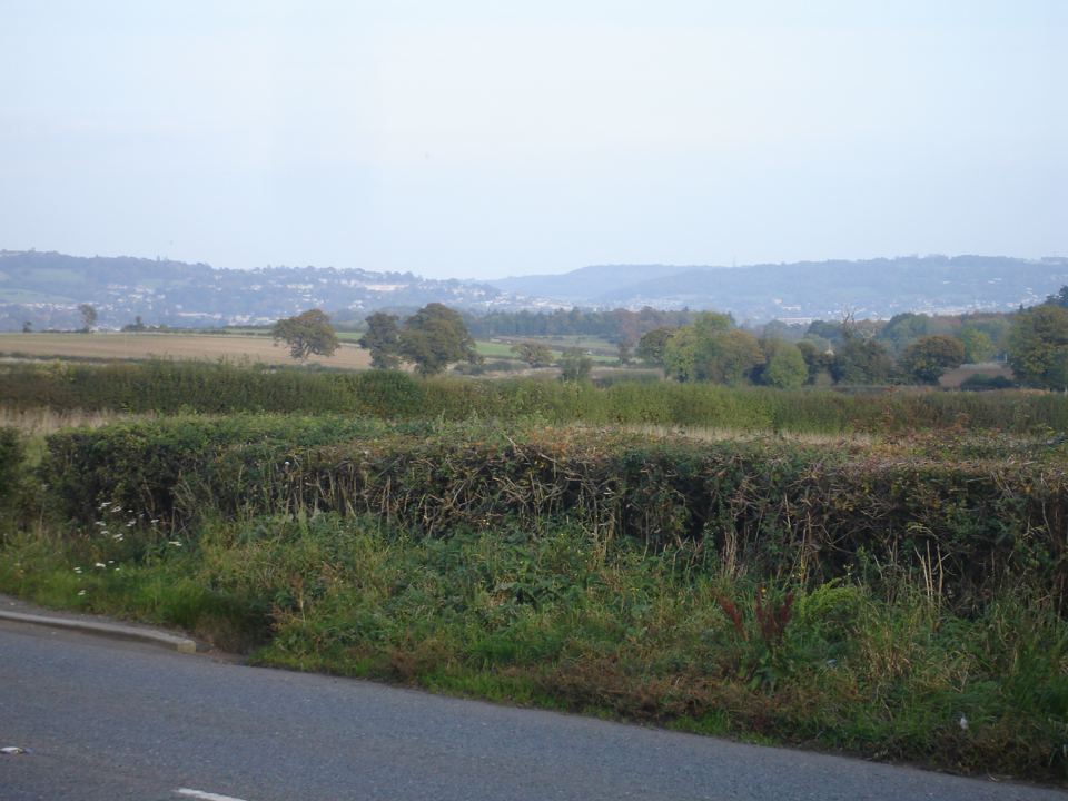 Farmland view from the lane