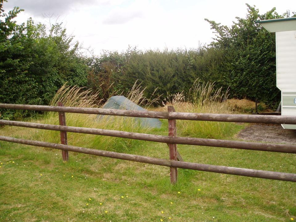 Field edge by the fence