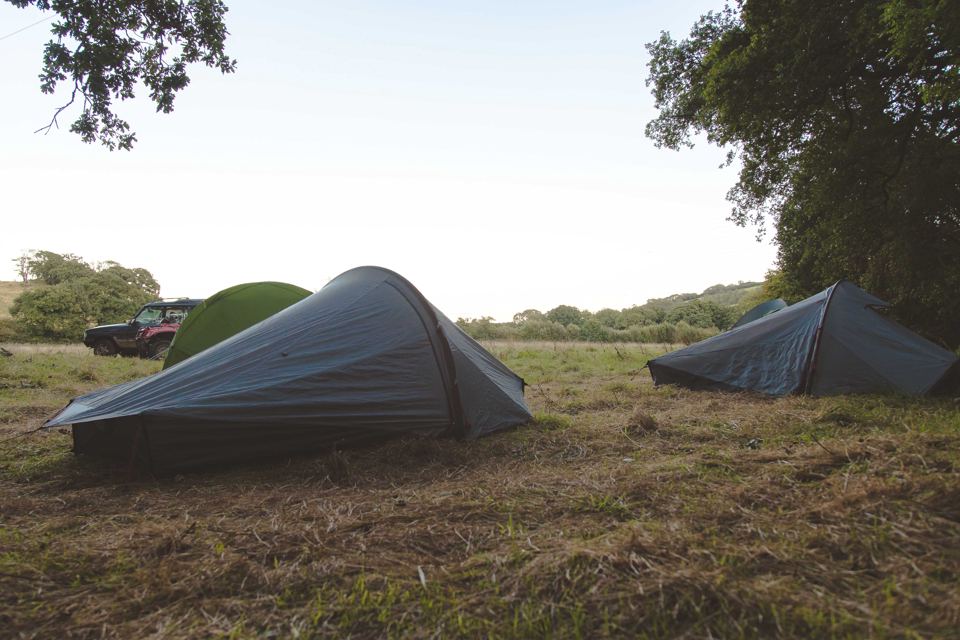 Tents pitched on a grass field