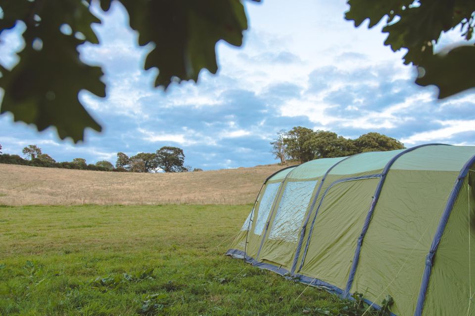 Tunnel tent on the grass