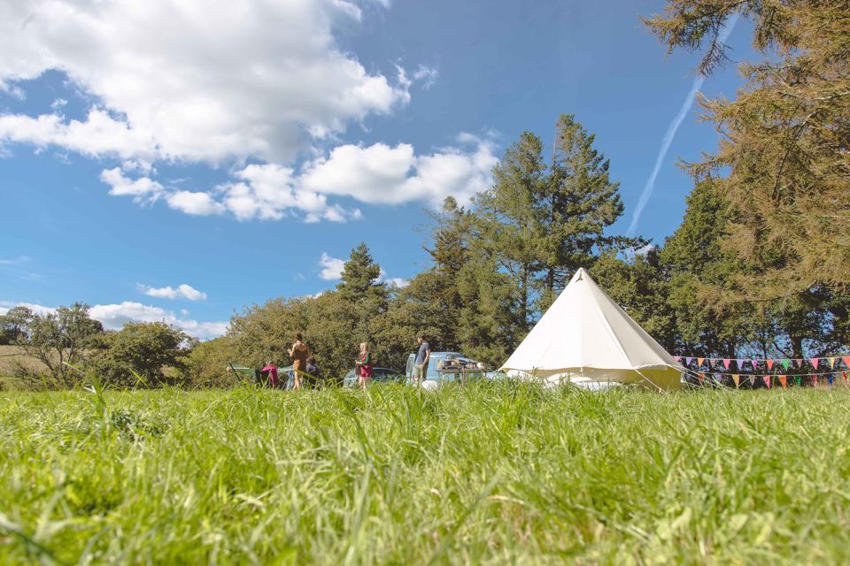 Bell tent in a grass field