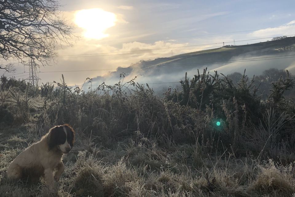 Misty morning over the fields