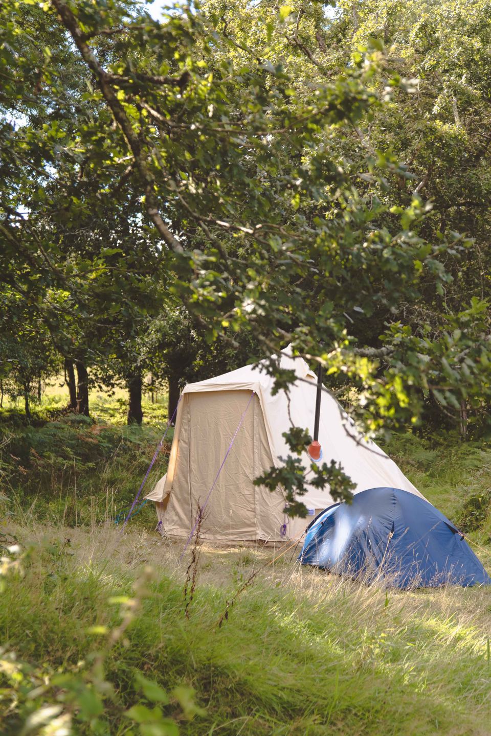 Small tent among the trees