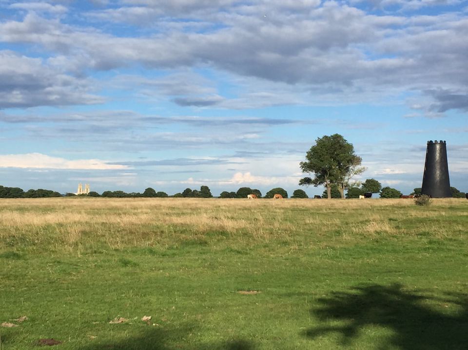 Open grass with a windmill