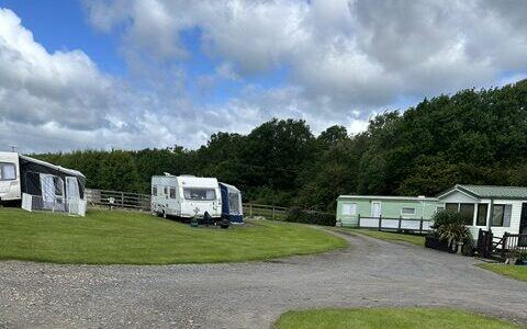 Caravans on grass by the trees
