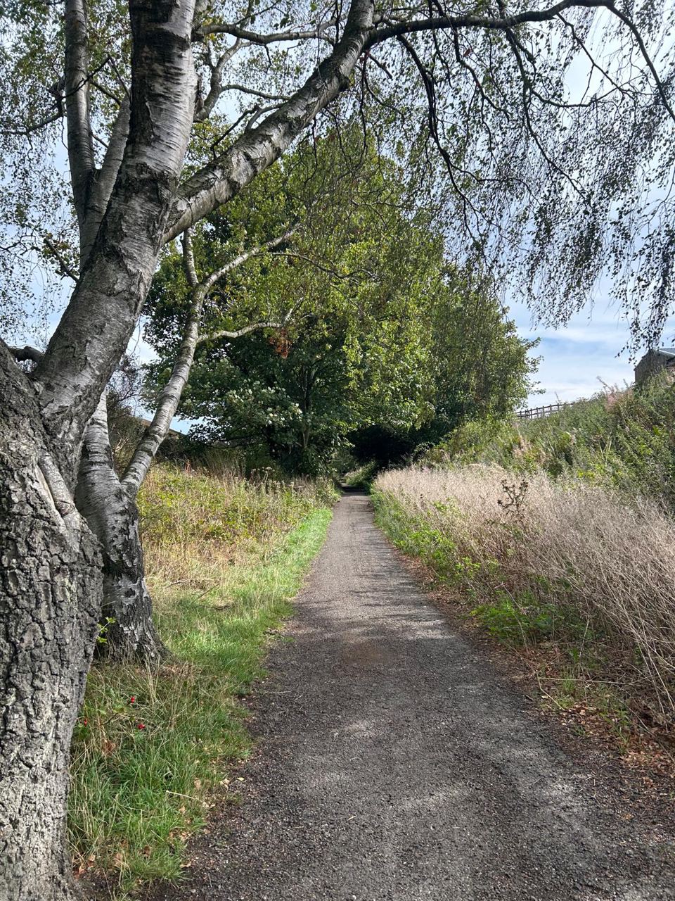 Track beside the site