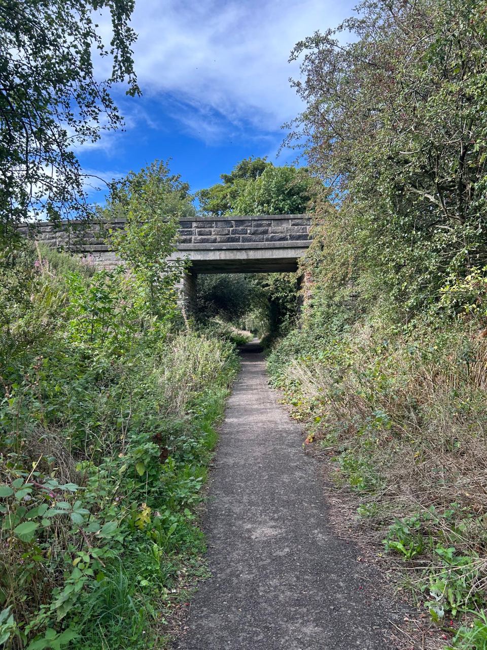 Path under the old railway bridge