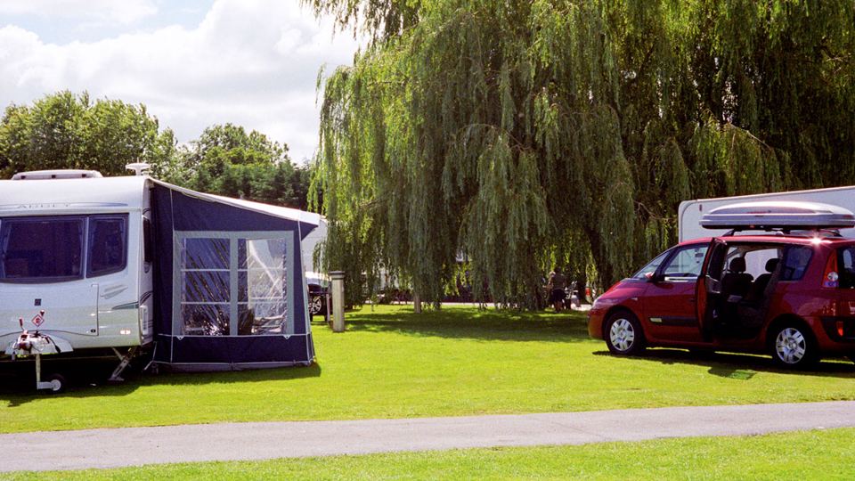 Pitch under a weeping willow