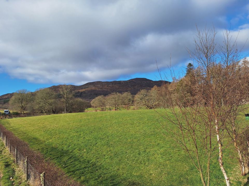 Field looking to the hills