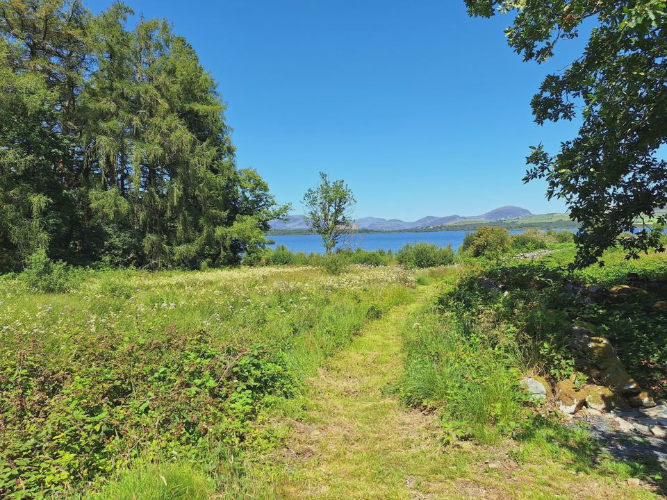 Path down to the lake