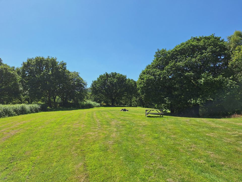 Lawn-like camping field