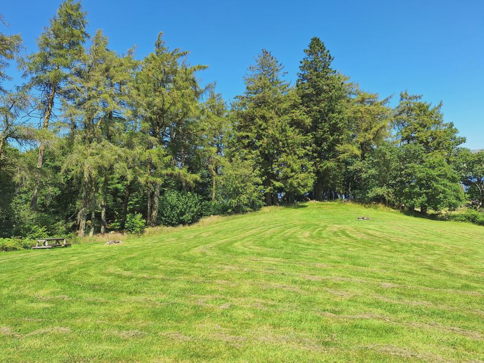 Camping field by the trees