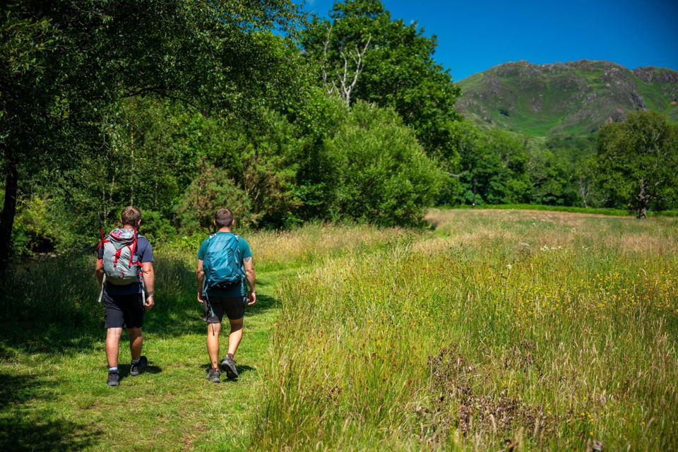 Walkers crossing a meadow