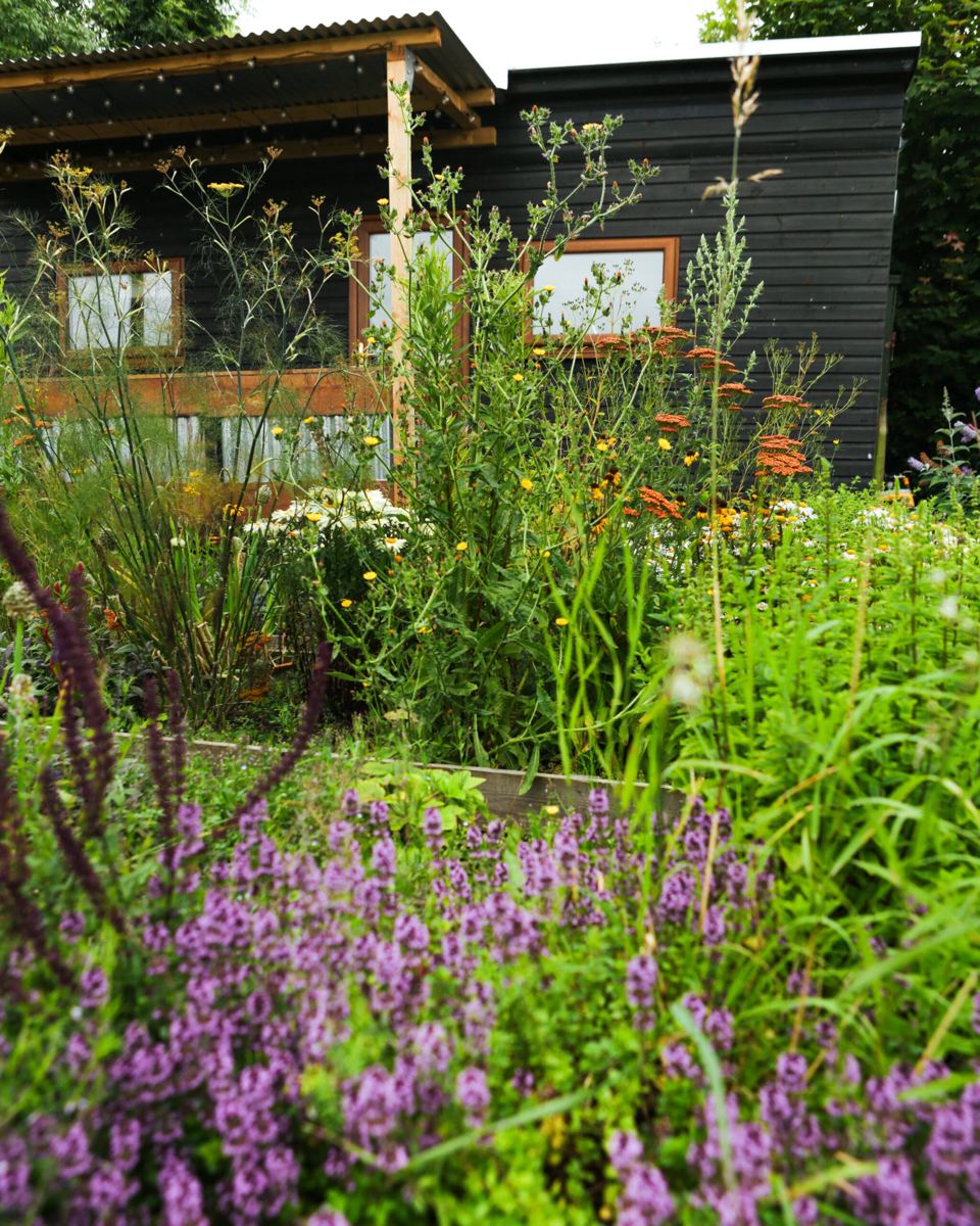 Dark timber cabin and wildflowers