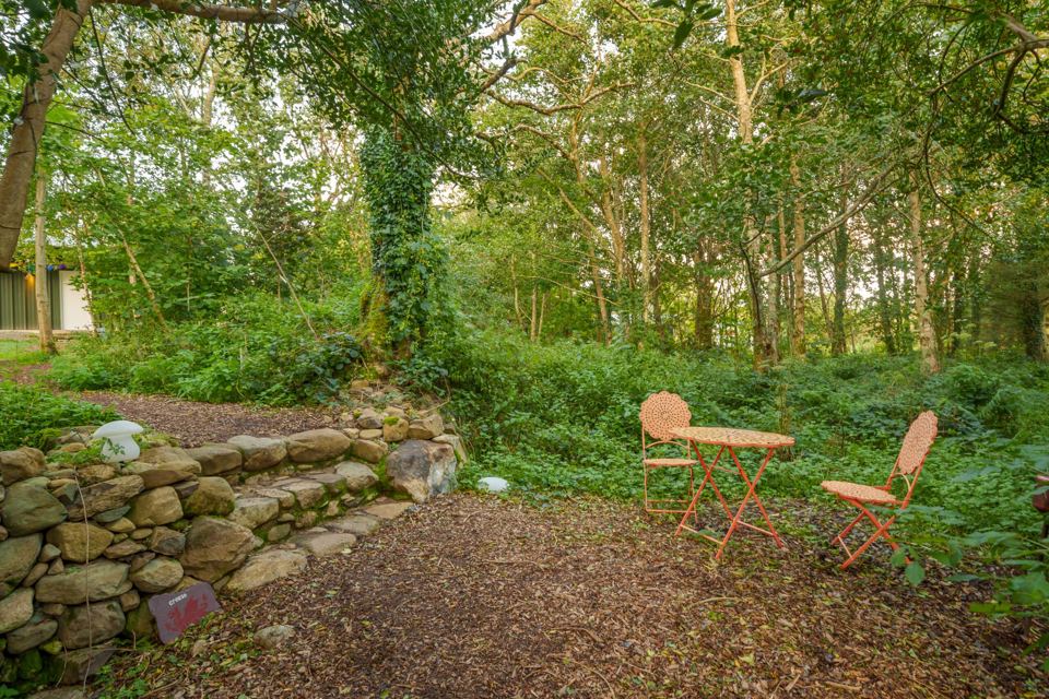 Woodland seating spot