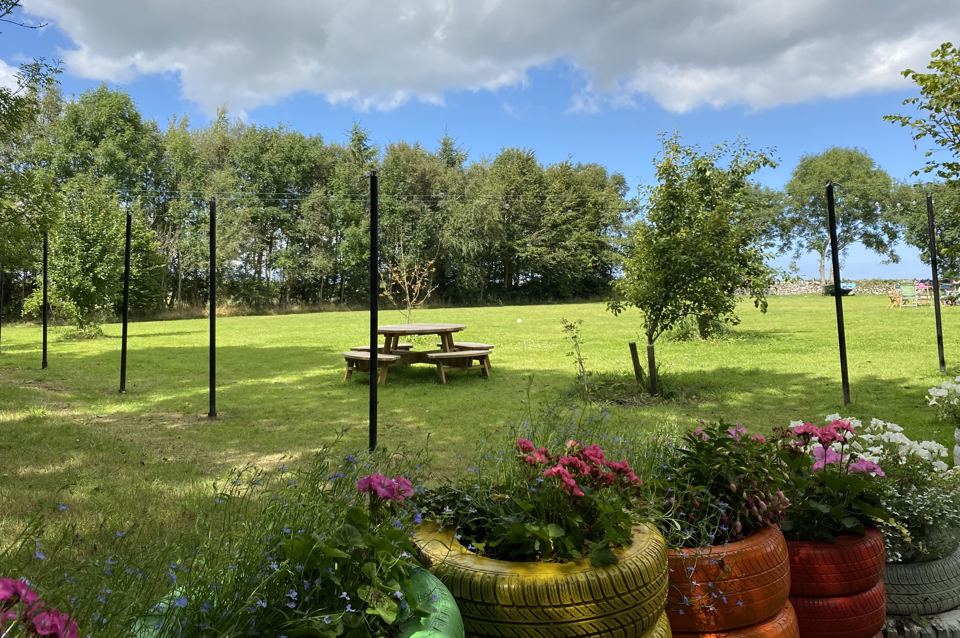 Field with picnic table