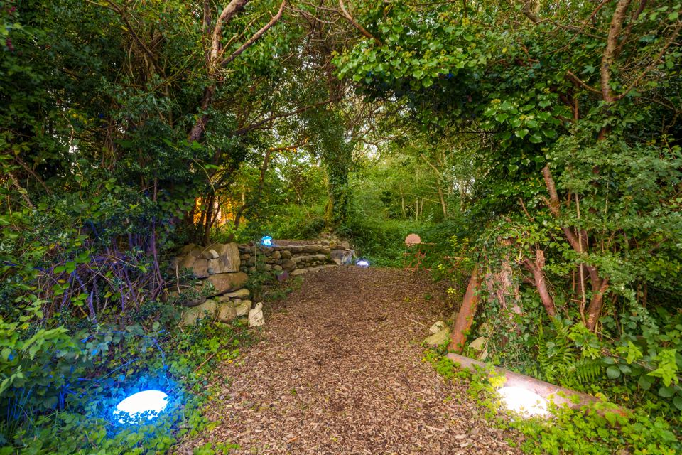 Lit woodland path