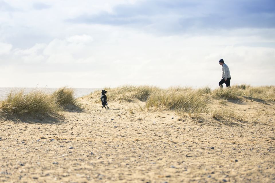 Dunes by the beach