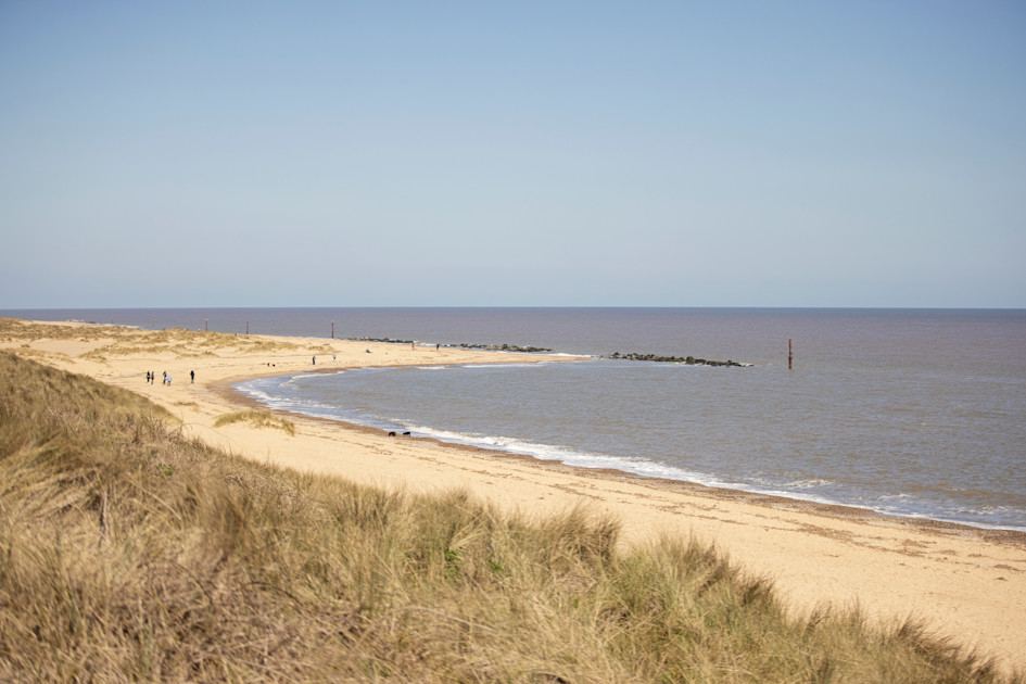 Sandy beach and dunes