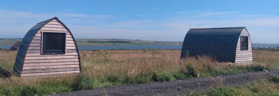 Pods over the moor