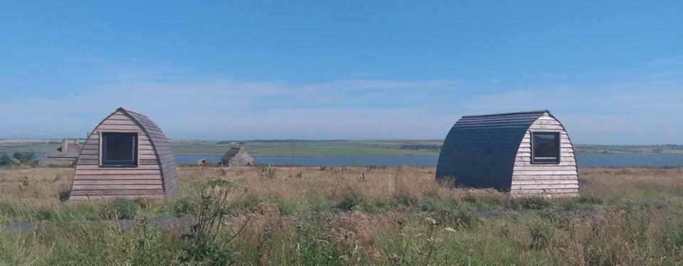 Pods looking towards Loch Watten