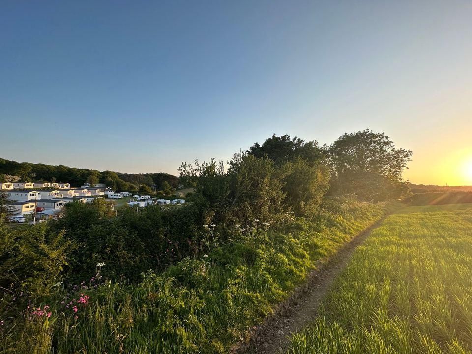 Sunset over the fields