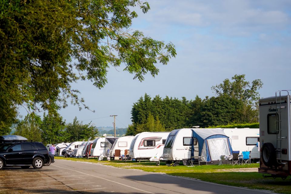 Touring pitches along the park road