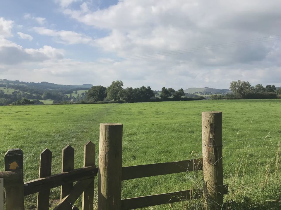 Fields beside the park