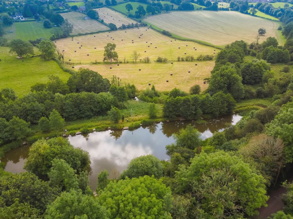 Fishing lake from the air
