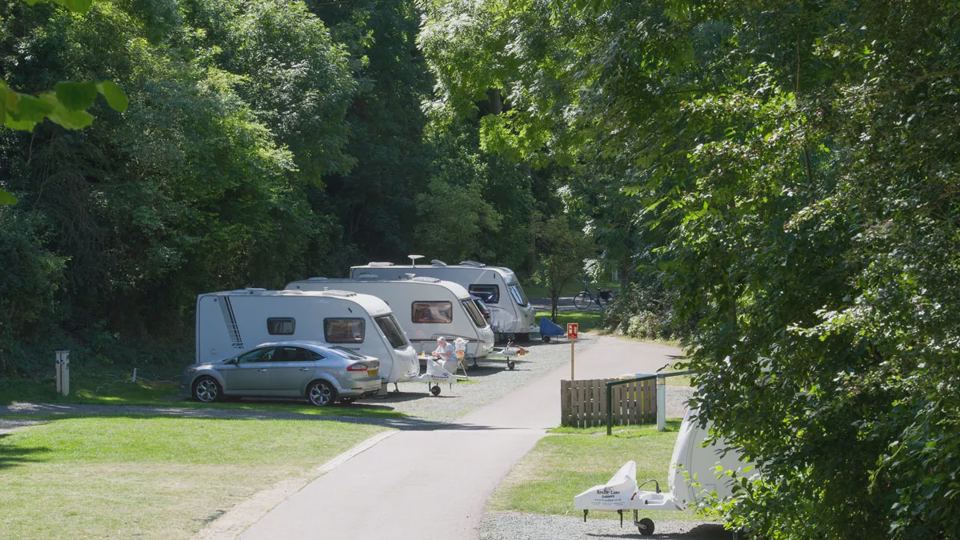 Caravans along a tree-lined road