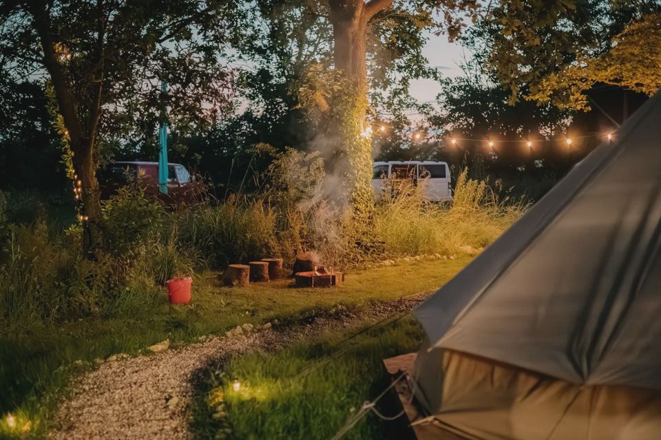 Bell tent beside a woodland path