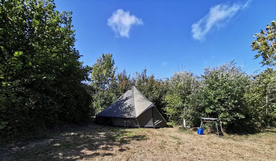 Bell tent in a grassy clearing