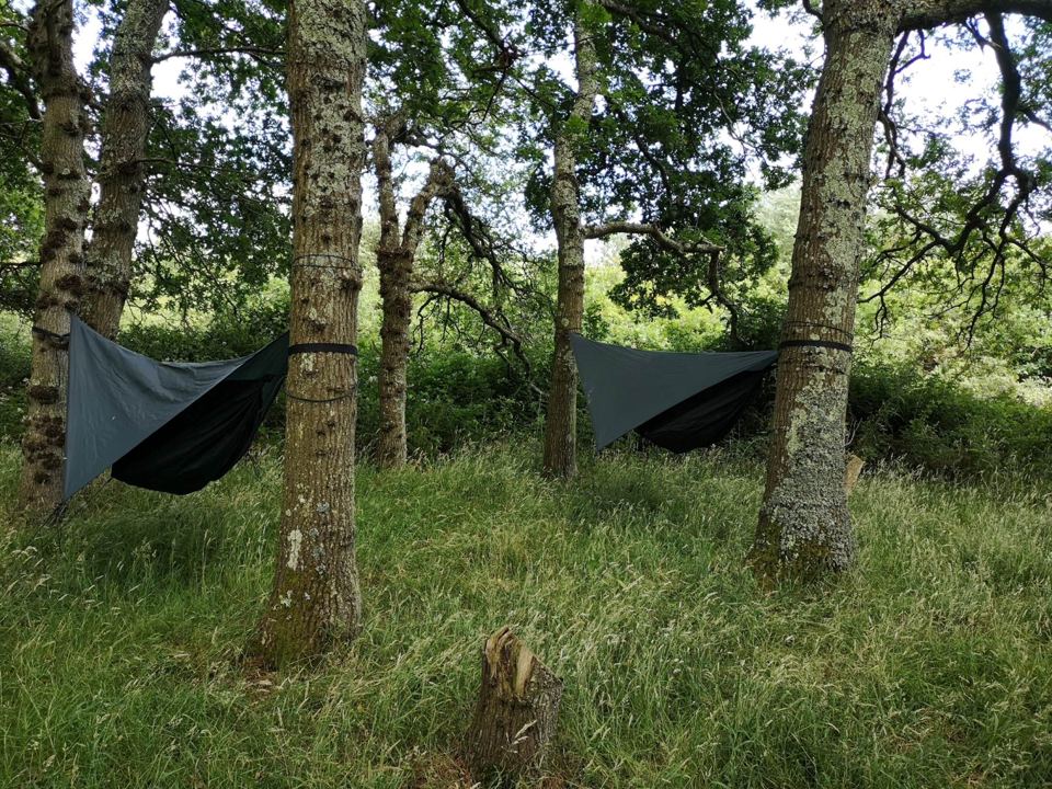 Hammocks slung between trees