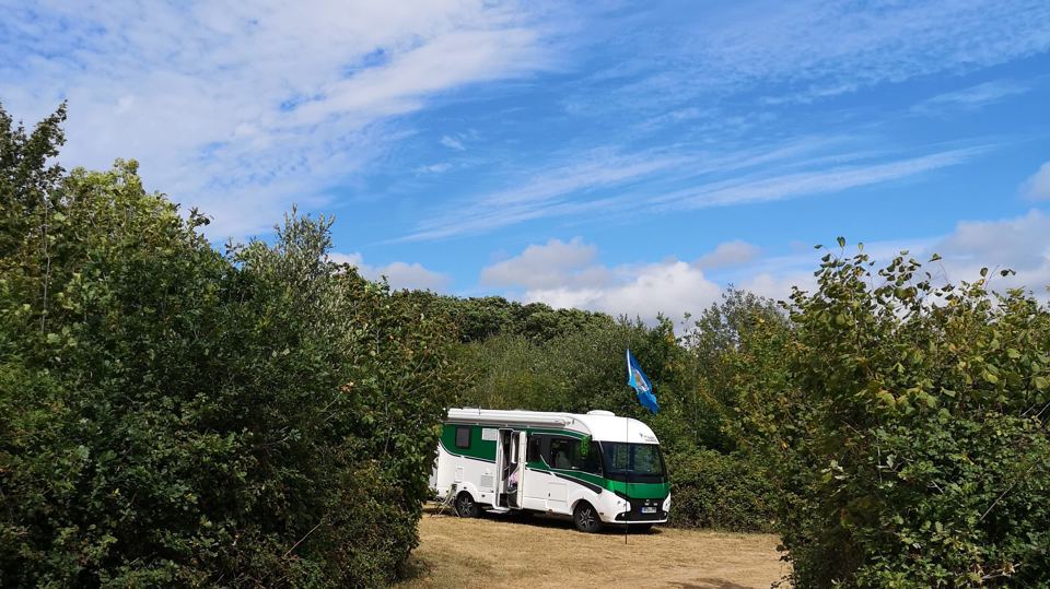 Motorhome in a sunny clearing