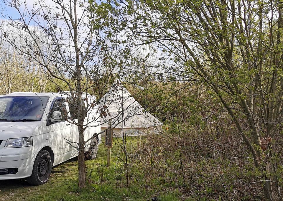 Van and tent in a woodland clearing