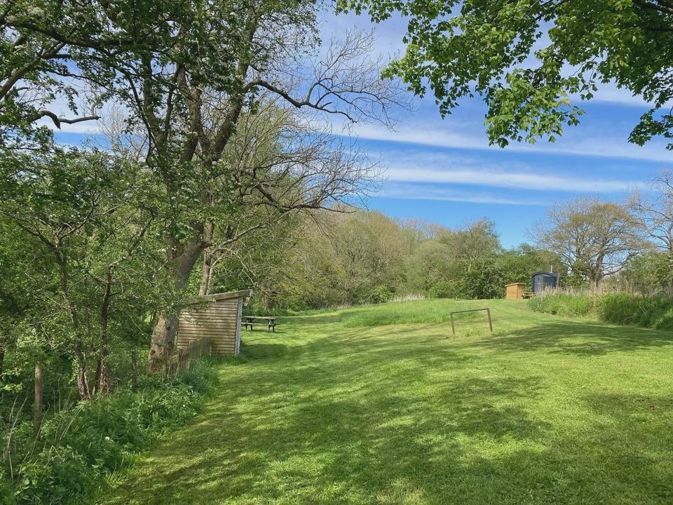 Grass field under blue sky