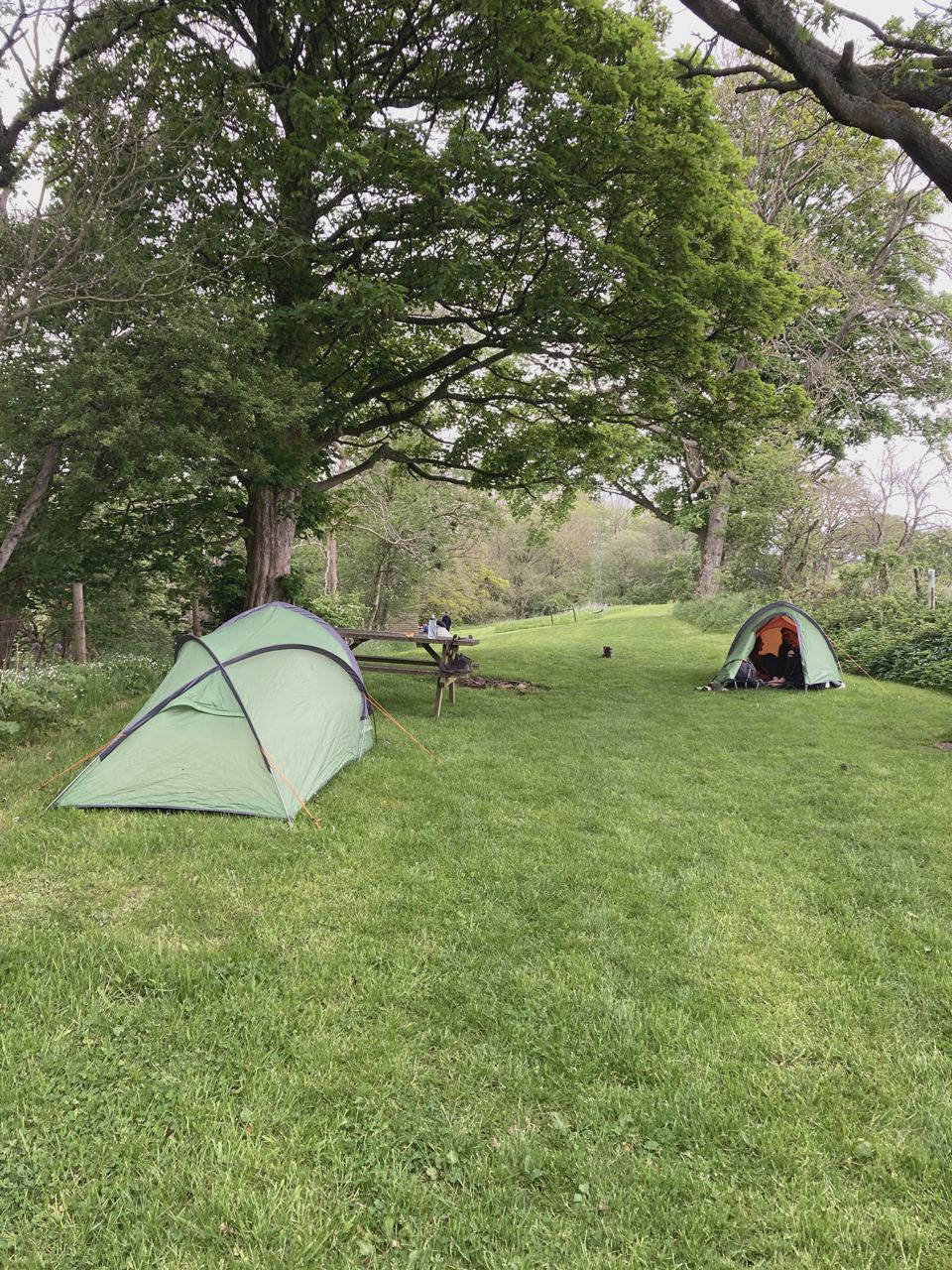 Tent pitch with picnic bench