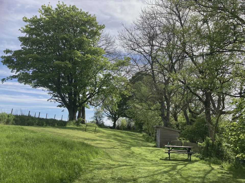 Grass field with a picnic bench