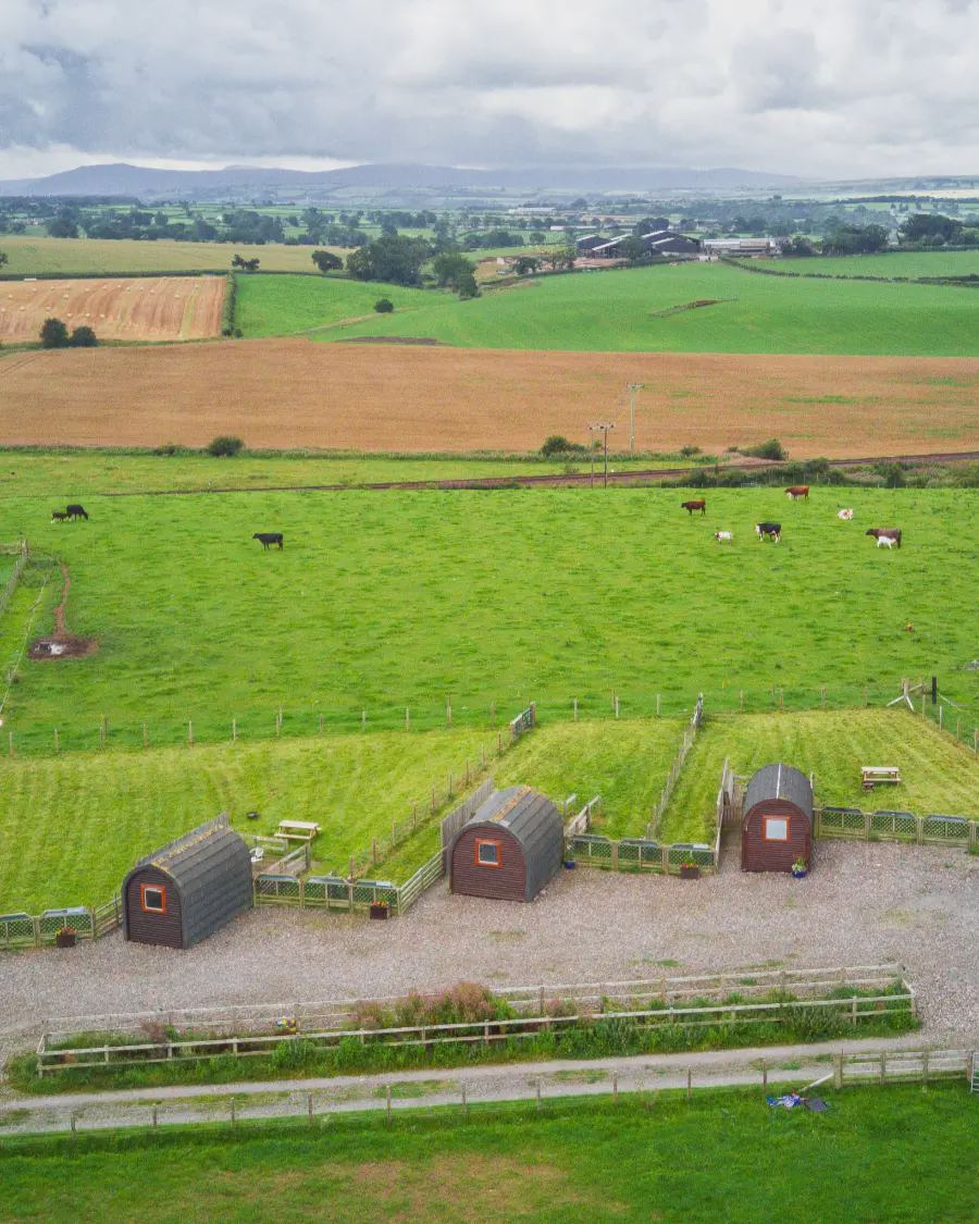Pods on gravel across the field