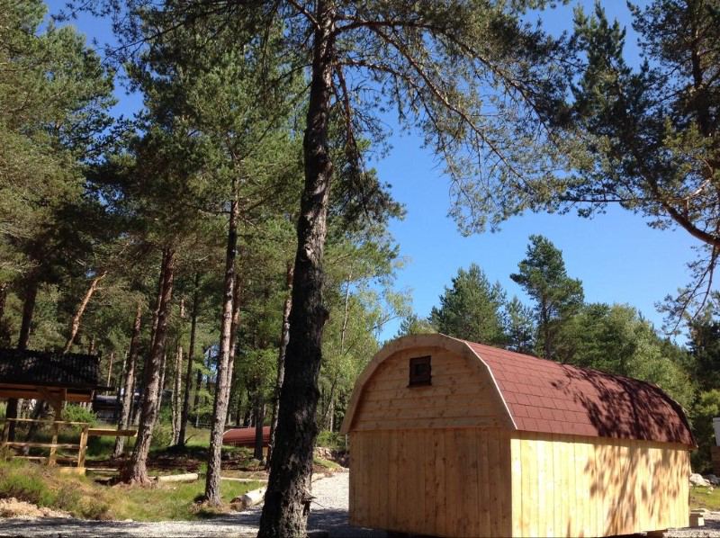 Pod below the pines
