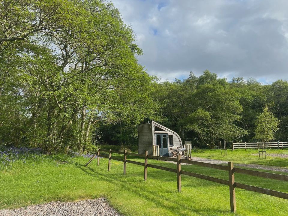 Glamping pod by the trees