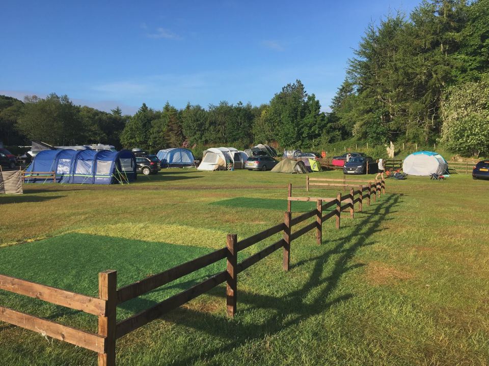 Busy tent field