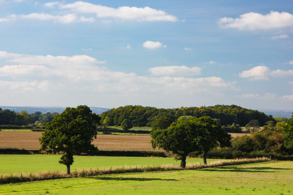 Fields and woodland views