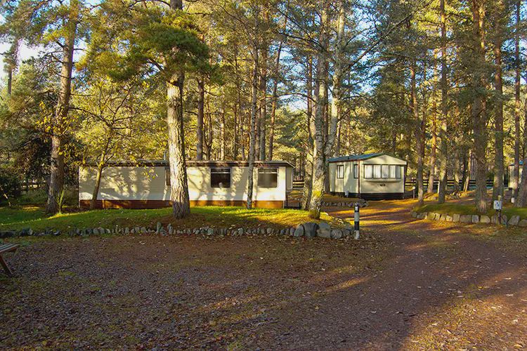 Caravans in the pines