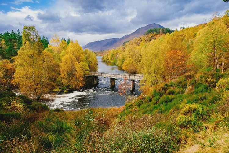 River in Glen Affric