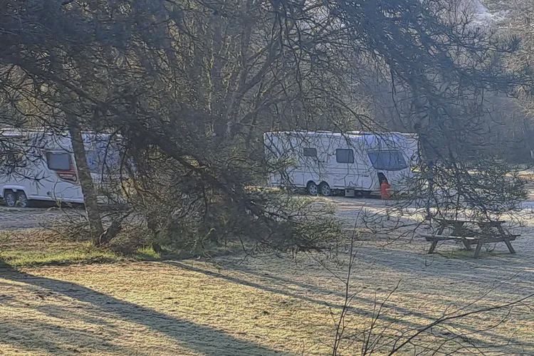 Touring pitches under the trees