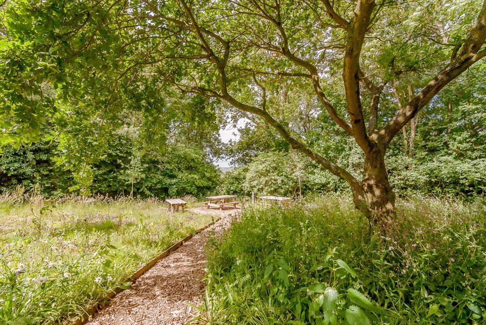Meadow path with picnic table