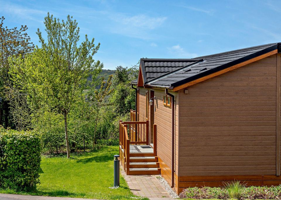 Lodge with steps and trees